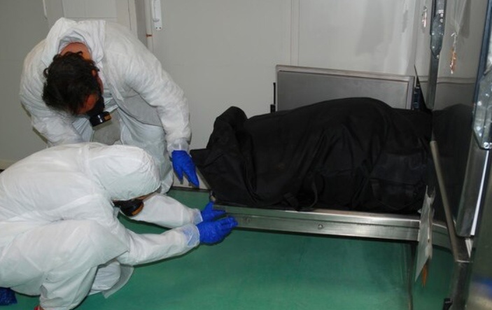    Фото: ru.freepik.com Анастасия Давыдова