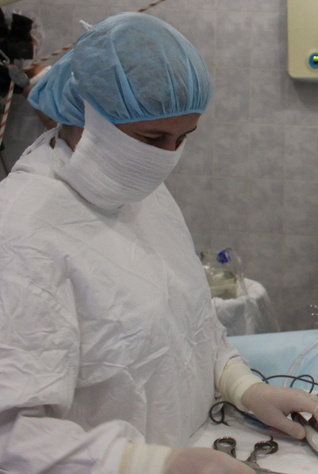    Фото: Царьград/Ростов-на-Дону