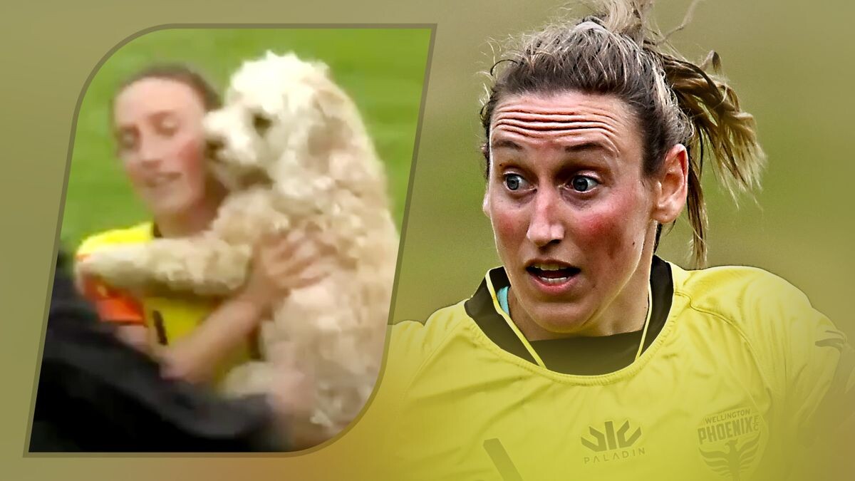    Getty Images / youtube.com