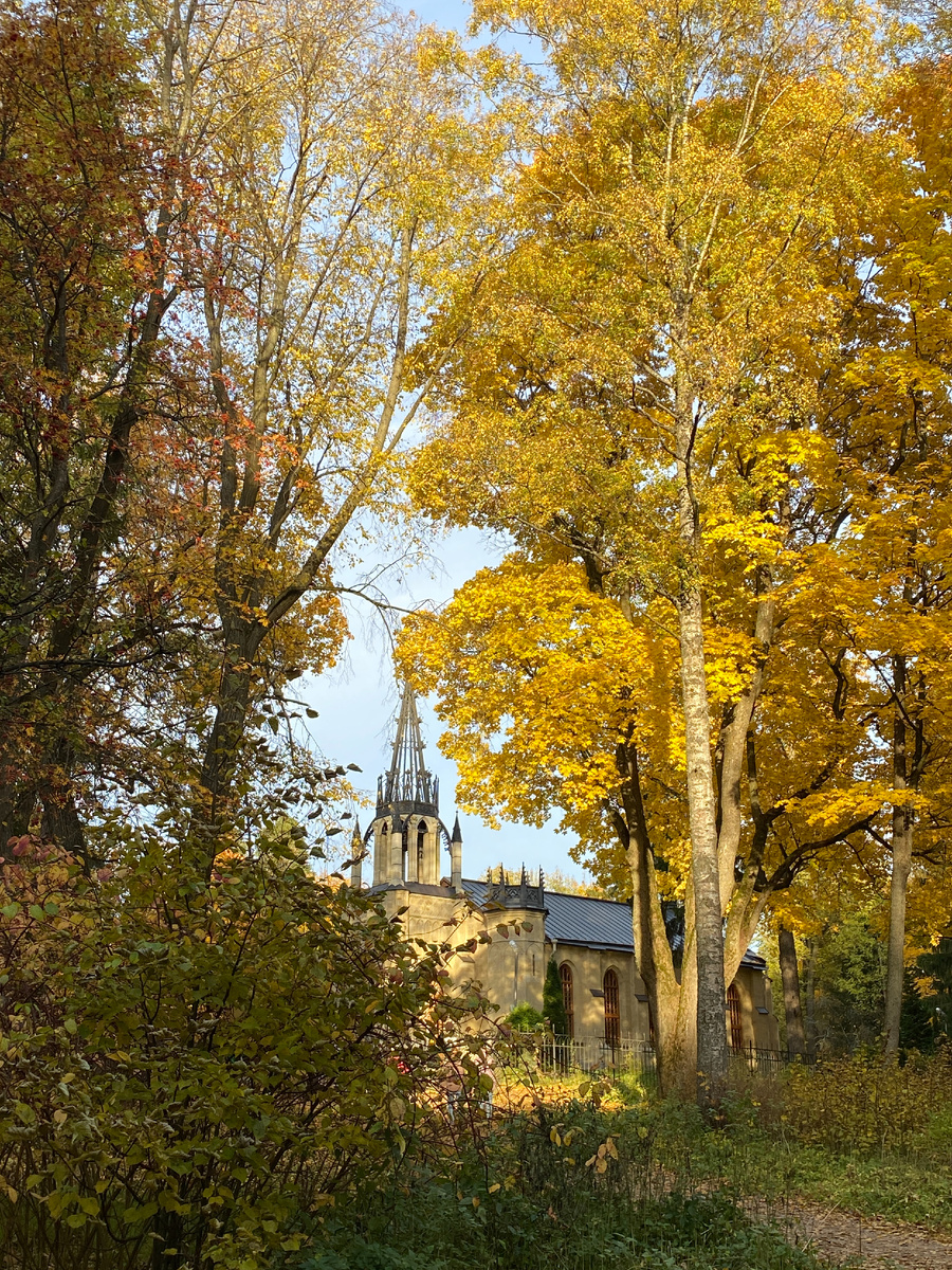 Шуваловский парк. Здесь и далее фото автора