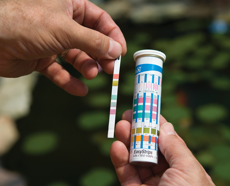 Тест-полоска, фото из интернета