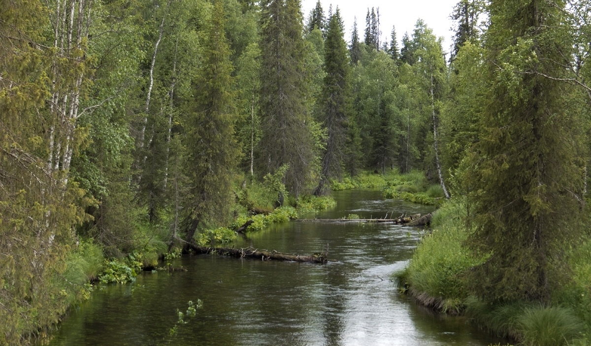 Фото: Татьяна Хакимулина
