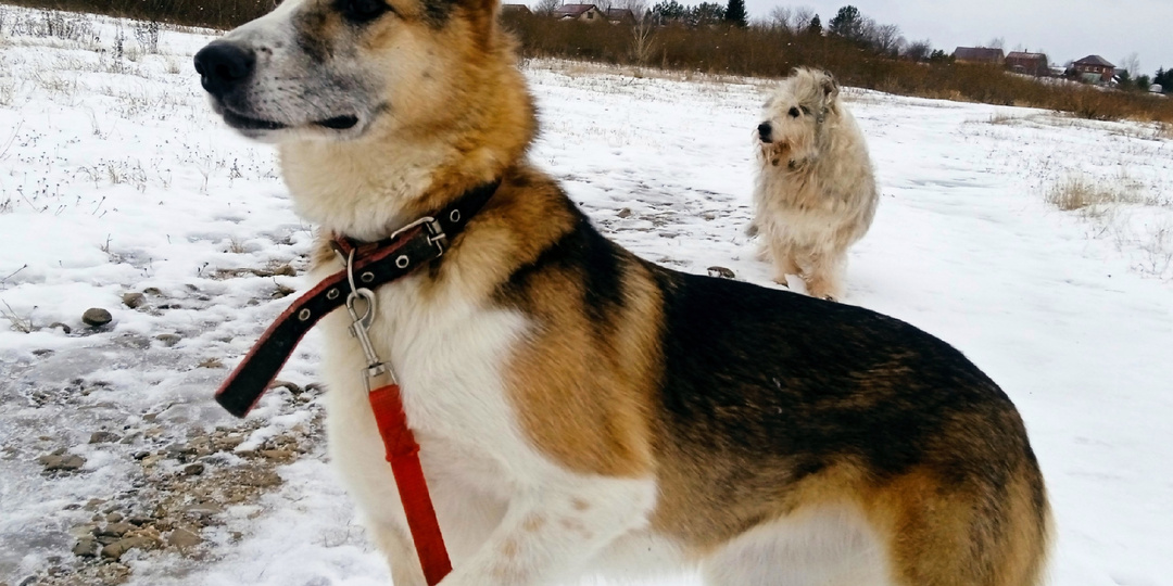 Внезапно раздался телефонный звонок. На другом конце линии оказалась Людмила Муромцева
