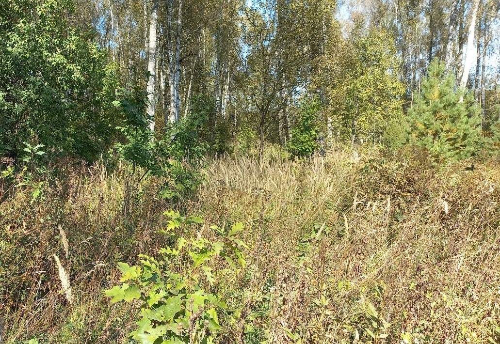 Фото: © Вилен Лупачик 