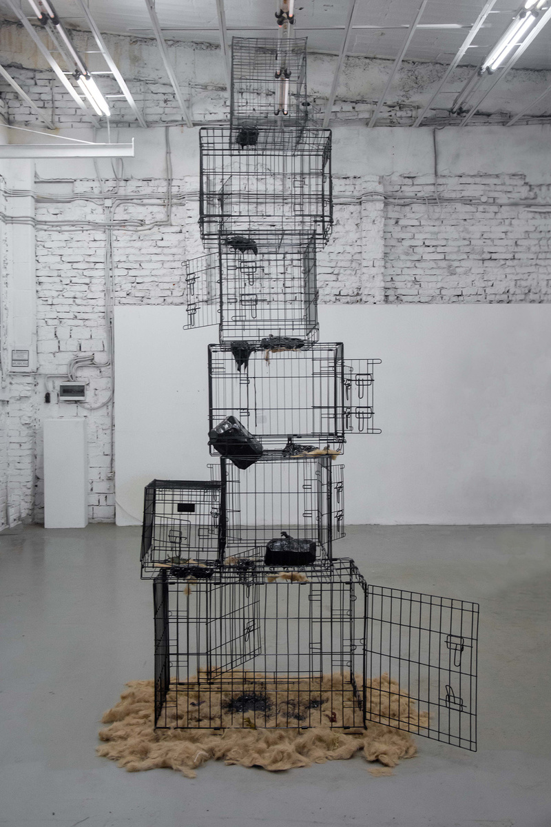    Danil Danot, инсталляция «Границы»