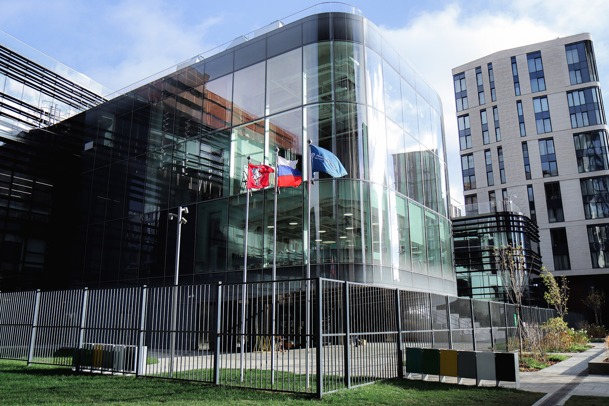 Фото предоставлены школой «Новый взгляд»