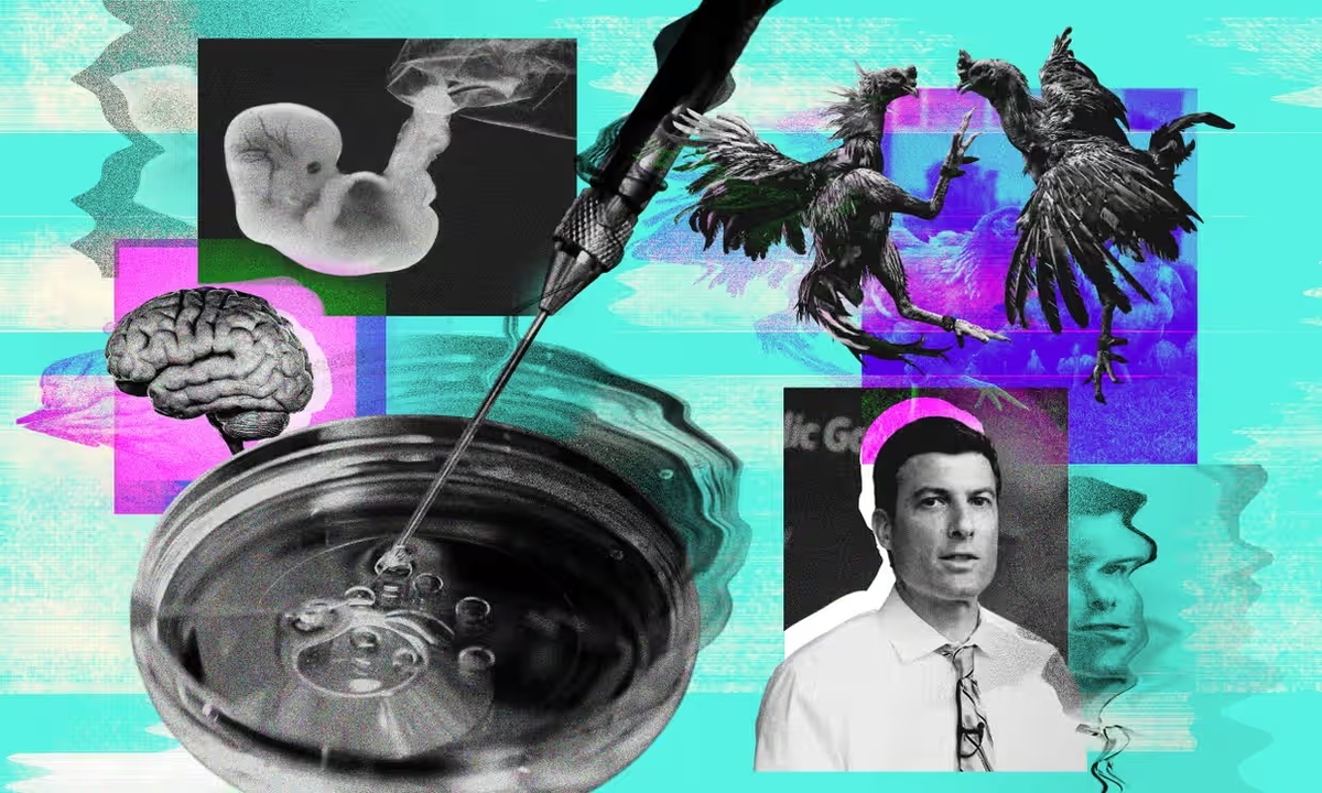 Images/Alamy/Youtube