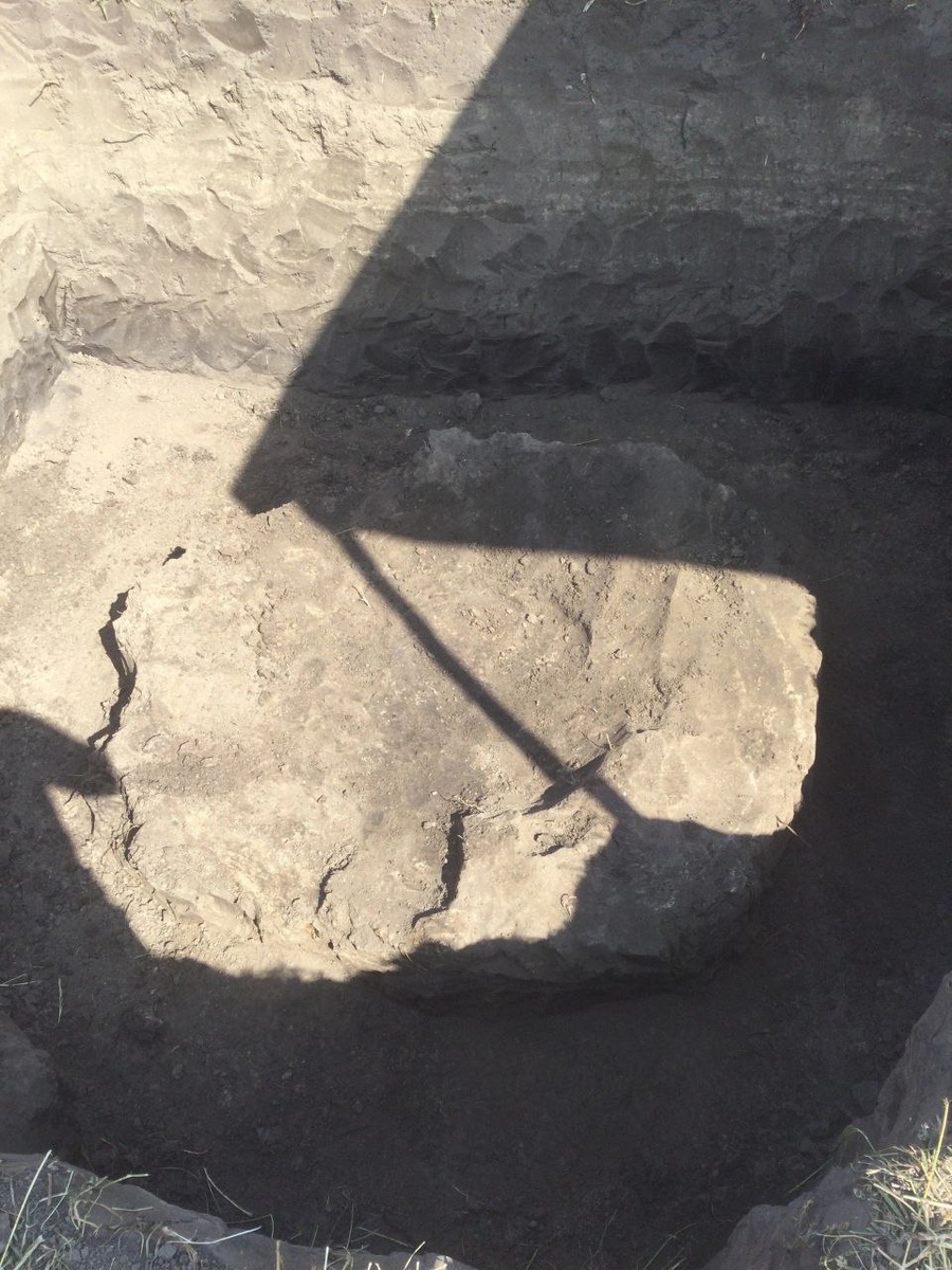 Формирование эксгумационного стола