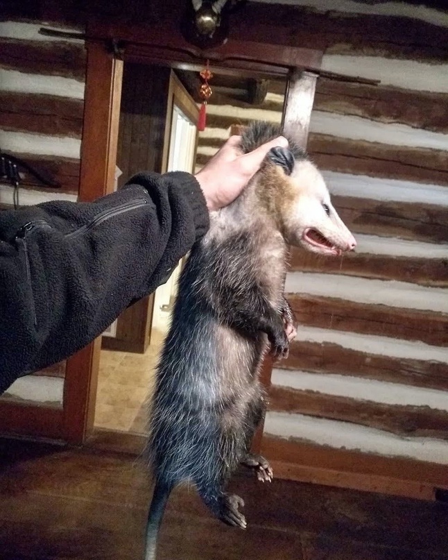 дайте  оскар этому парню 