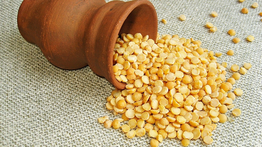    Фото: © Galina Barbieri/Globallookpress