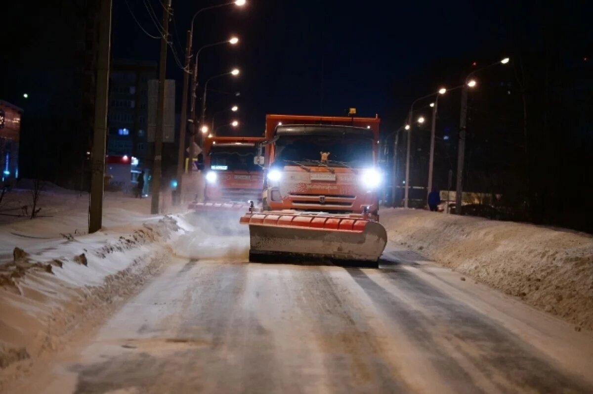    В Ярославле для зимней уборки наняли около 50 работников