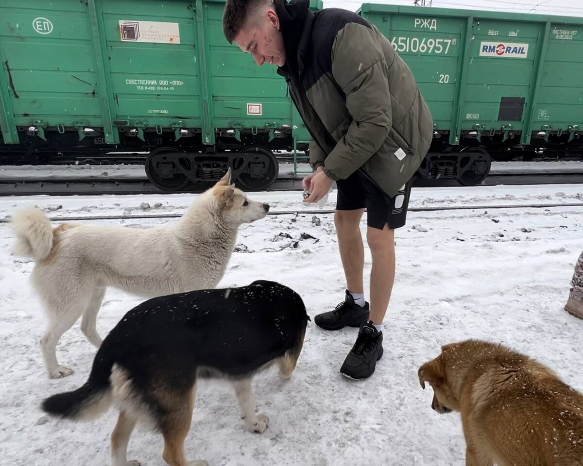 «Мать Тереза»