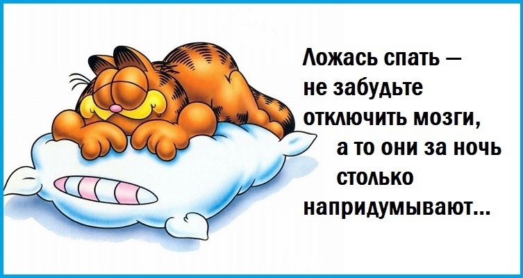 Источник Яндекс-картинки