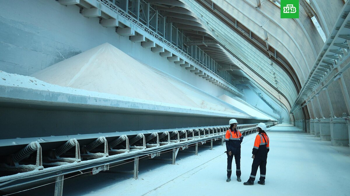    Фото: РИА Новости © 2024, Кирилл Брага