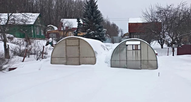 Фото: Оксана Котова