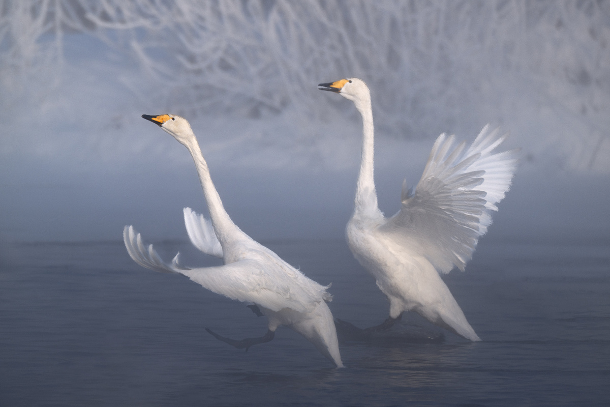 Фото: Александр Кукринов