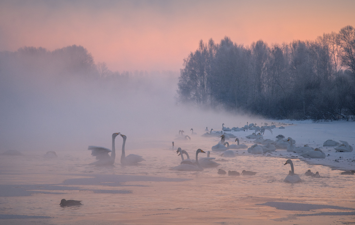 Фото: Александр Кукринов