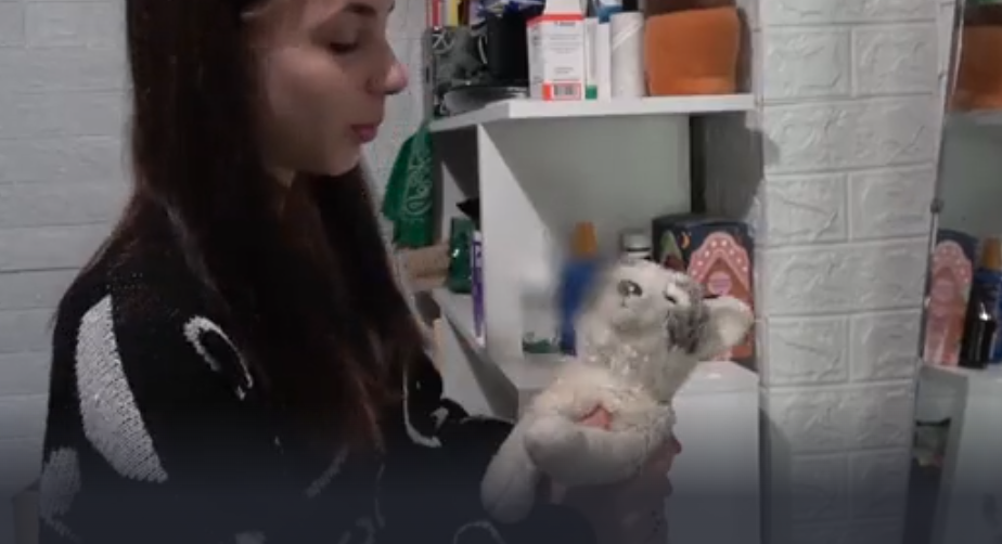 Лиза. Фото: скриншот передачи НТВ