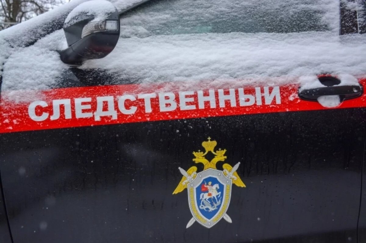    Житель Бурятии предстанет перед судом по делу о реабилитации нацизма