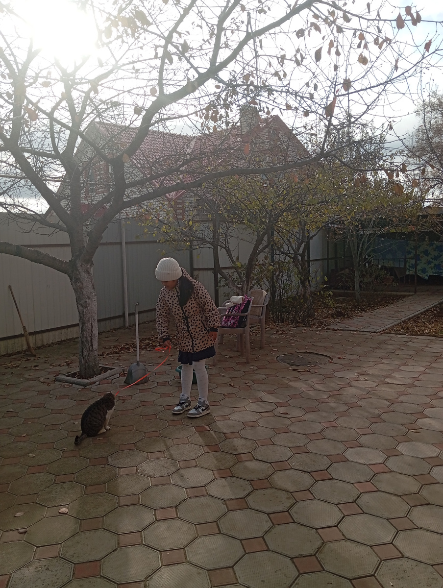 Во дворе ещё теплее, затишье и солнце выглянуло. 