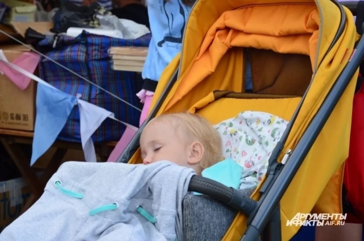    Пензенцам объяснили, кому положена медаль «Материнская доблесть»