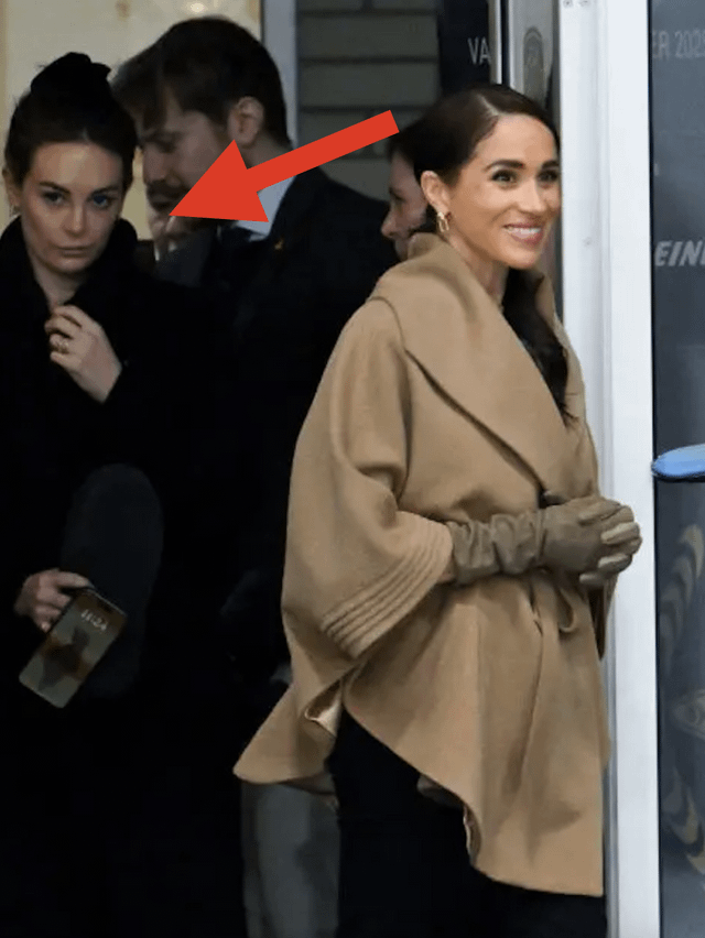 https://www.reddit.com/r/SaintMeghanMarkle/comments/1avxz8b/last_post_why_do_you_think_beth_herlihy_has_been/