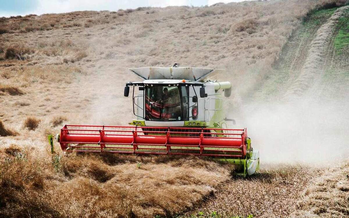   Курские аграрии получат 5 млрд рублей из федерального бюджета на возобновление производства Фотография: Freepik