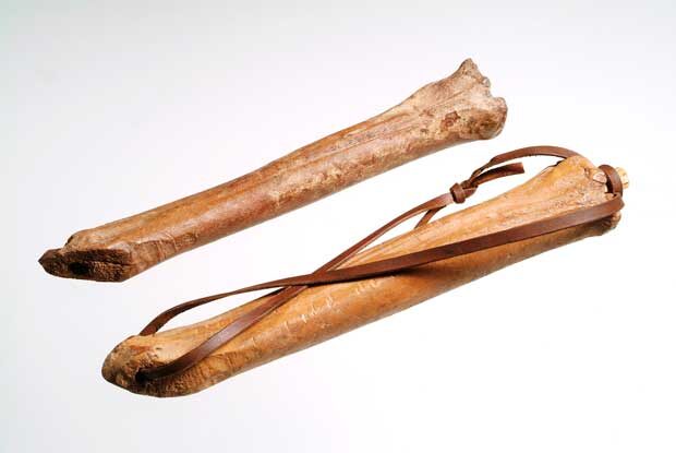 Коньки из костей