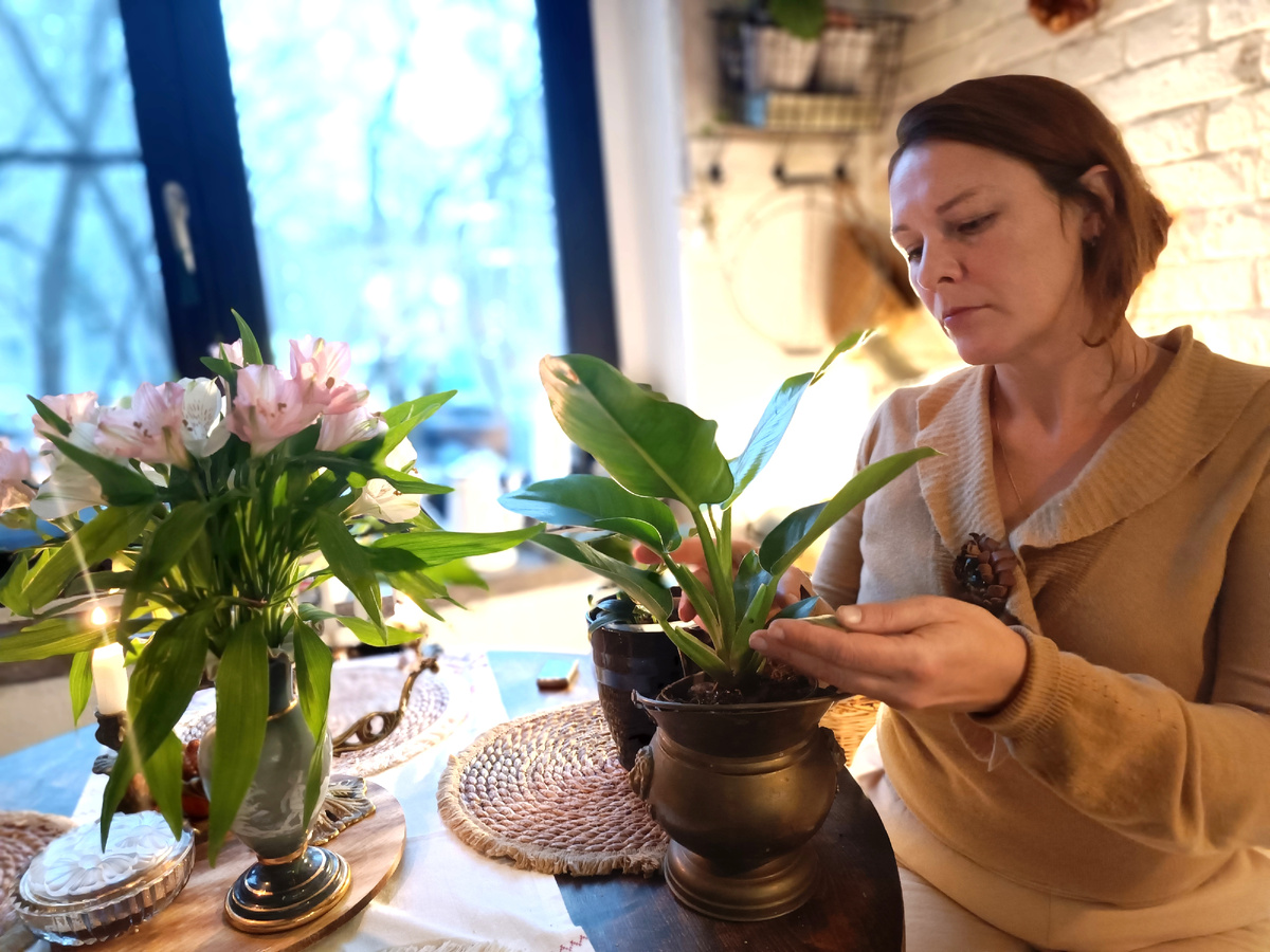 Я себе по случаю тоже купила цветочки, в горшках, на распродаже в Пятерке😅