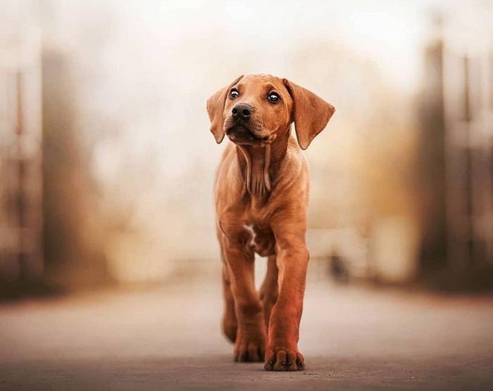 Источник pinterest.com