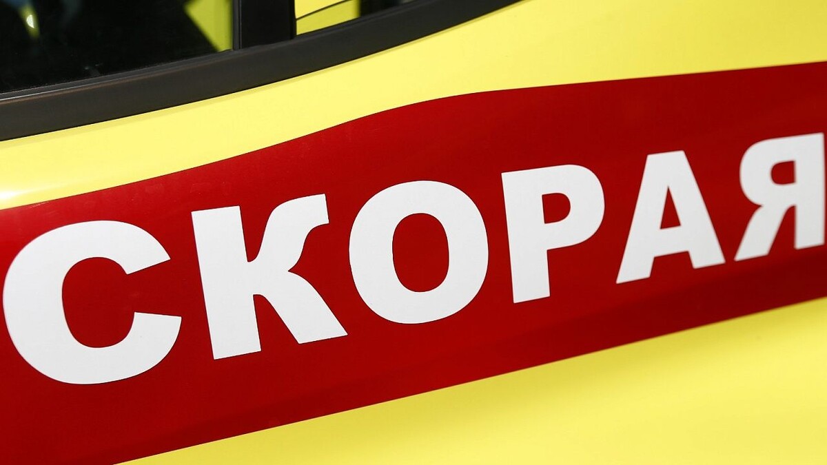    Фото: телеканал «Краснодар»