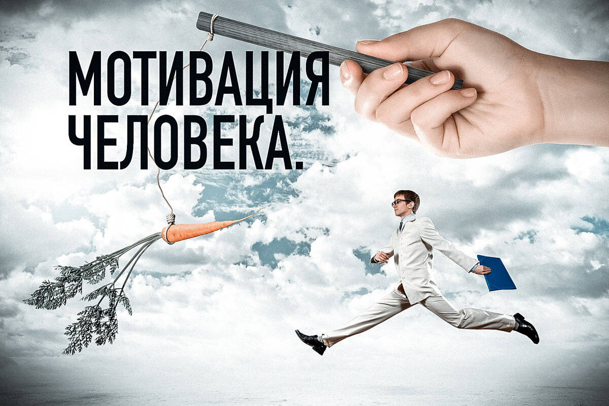 изображение из интернета