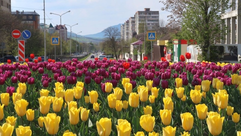      Фото: мэрия Железноводска