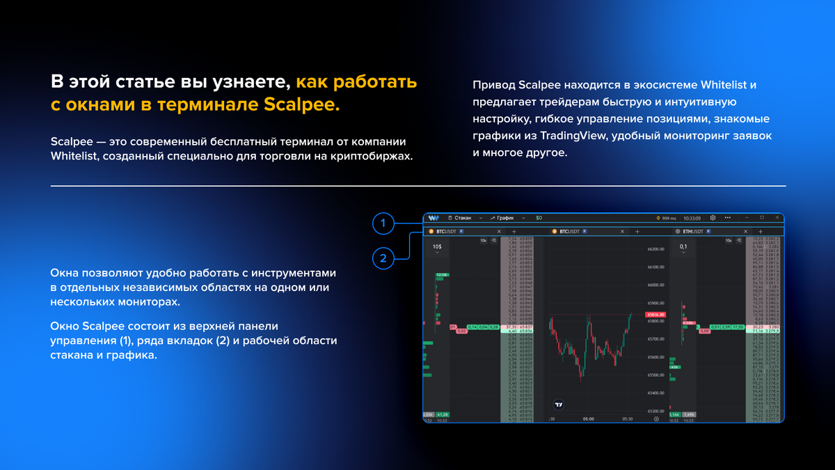 Из чего состоит окно терминала Scalpee