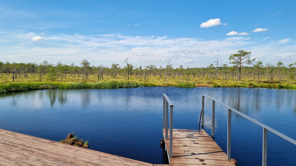 Все фото автора