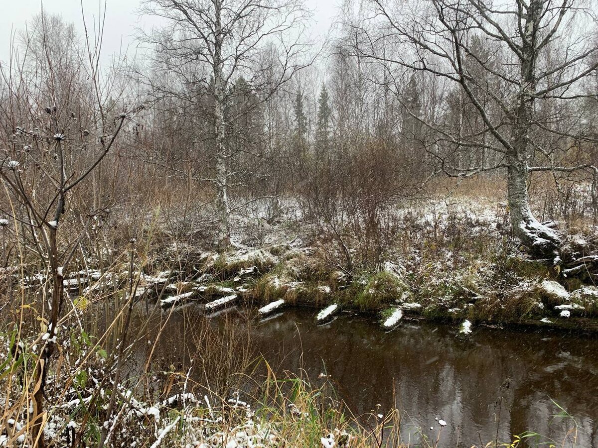 Источник фото: https://www.bnkomi.ru/data/news/164541/