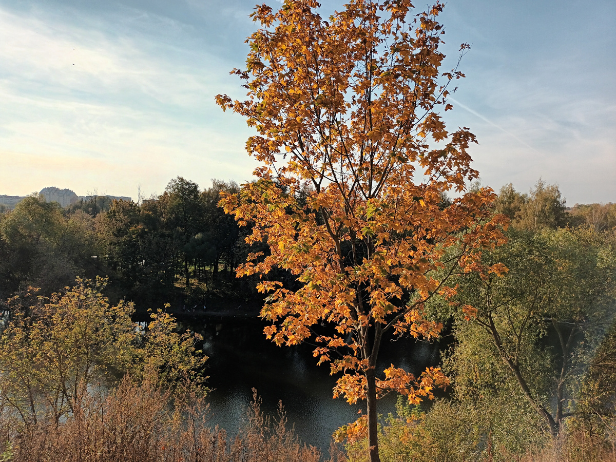 Осенне фото автора
