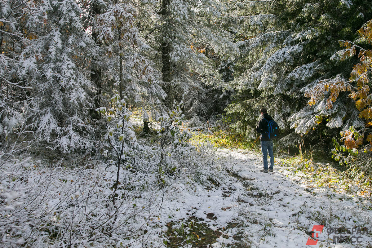 Туристам советуют гулять по парку исключительно днем..  Фото: ФедералПресс / Евгений Проторочин