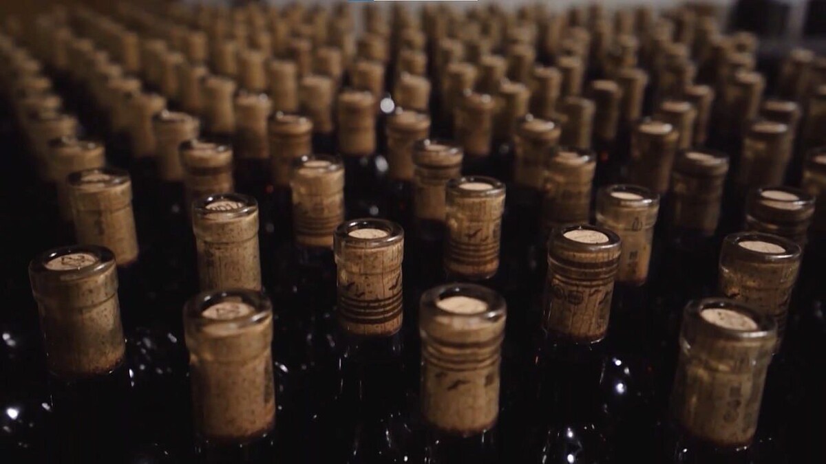    Фото: телеканал «Краснодар»