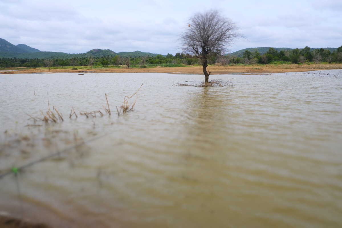 Вот это место, целимся правее от дерева...
