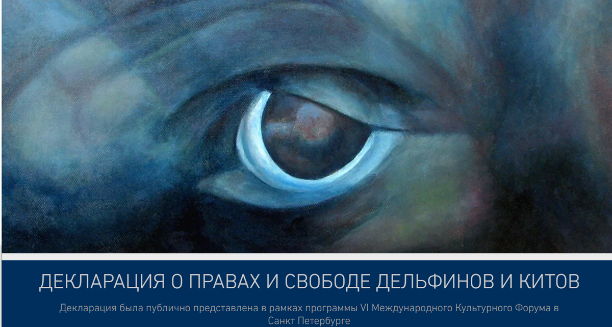 Изображение с сайта "Посольство дельфинов"