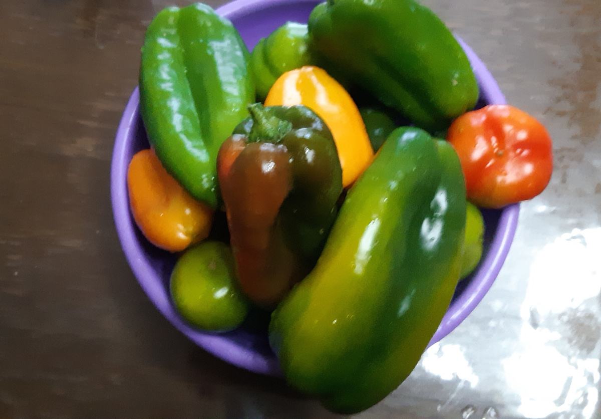 Отобрала толстостенные перцы