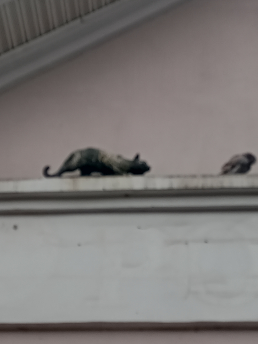 Каменный лев и котенок в одном лице. 