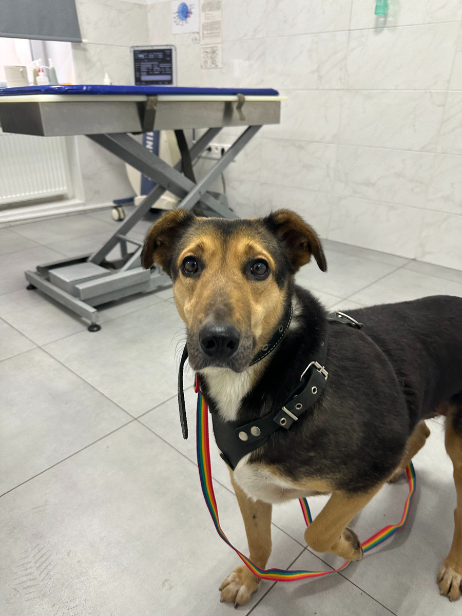 Ждем ЭХО и ЭКГ сердца.