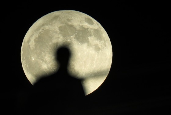    Фаза Луны сегодня, 14 ноября: удобряем цветы, работаем на результат