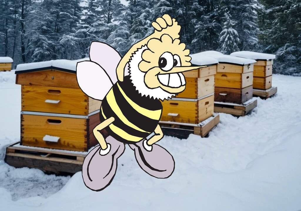 Пернос ульев зимой