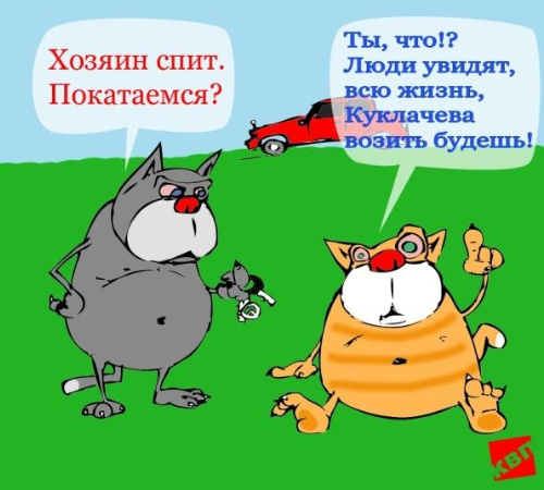Источник изображения : Яндекс картинка. 