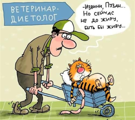 Автор- художник  Микола - Николай Воронцов. Источник изображения : Яндекс картинка. 