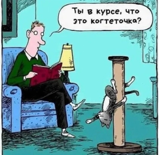 Источник изображения : Яндекс картинка. 
