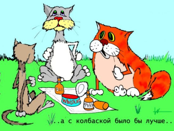 Источник изображения : Яндекс картинка. 